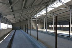 Строим свинофермы, коровник, конюшню