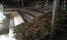 Дошка камерної сушки (сосна)30,40,50мм