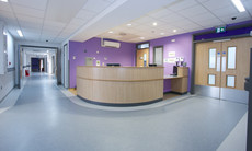 Коммерческий линолеум