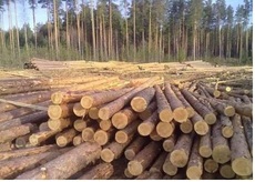 Постоянно закупаем рудстойку