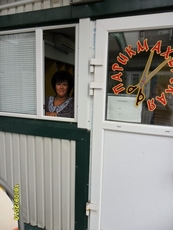 Ремонт ролет недорого Киев, ремонт дверей, окон 