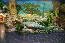 Строим тематические декорации