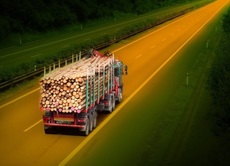 Дрова дуб, береза, сосна. Колоті та по 1-2м. Оптом